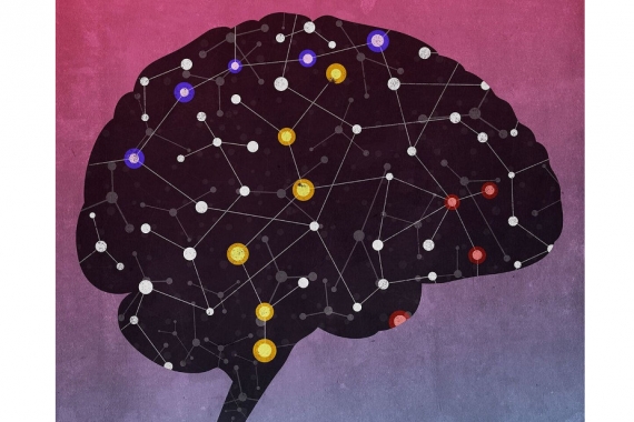 Illustration of a brain containing RNAs