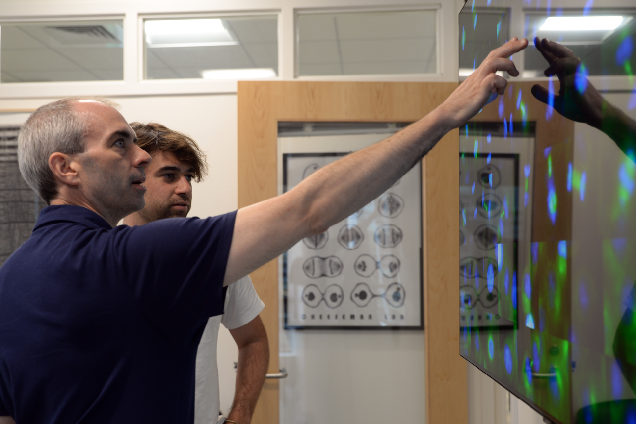 Cheesenan gestures to a large screen on a wall displaying images of cells, while Di Bernado stands beside him